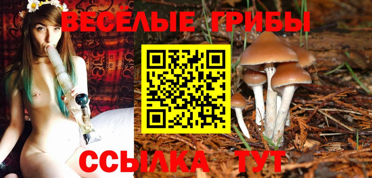 Галлюциногенные грибы MAGIC MUSHROOMS Луга