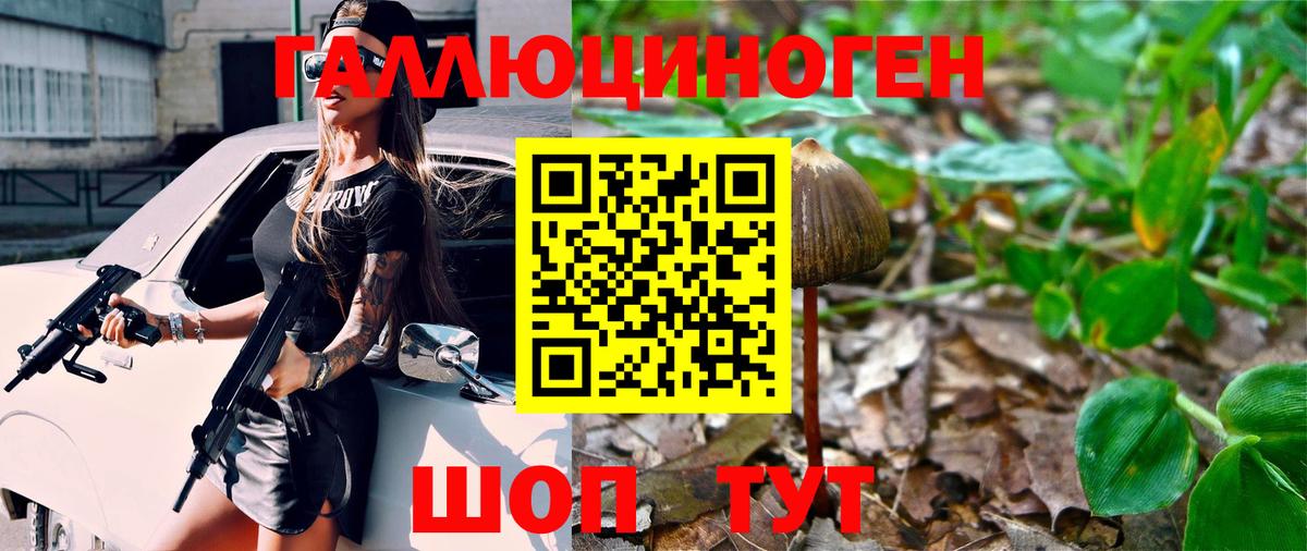 Галлюциногенные грибы ЛСД  Вход с VPN  Луга 