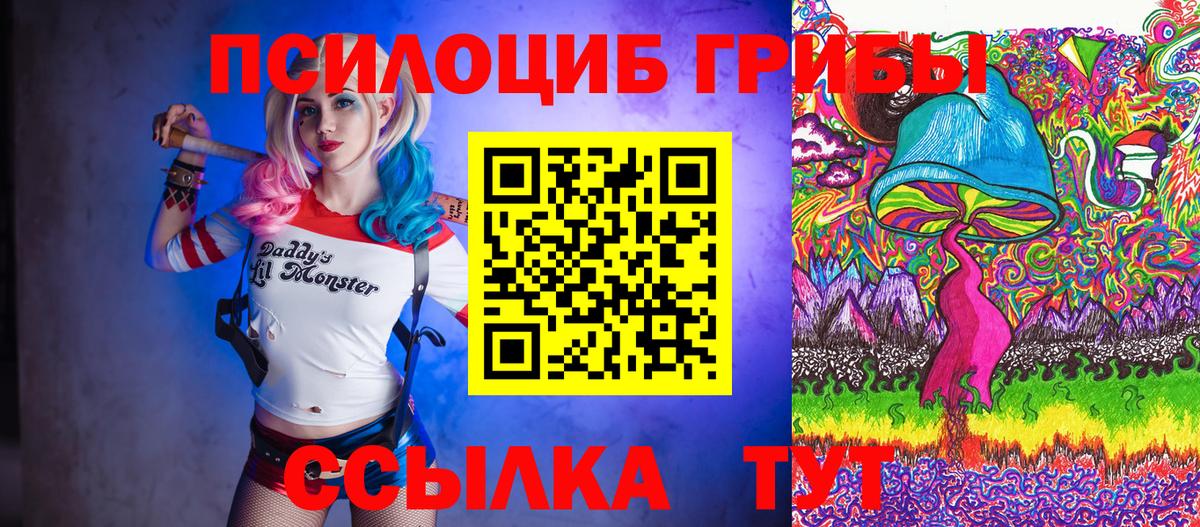 Псилоцибиновые грибы Magic Shrooms  Луга 