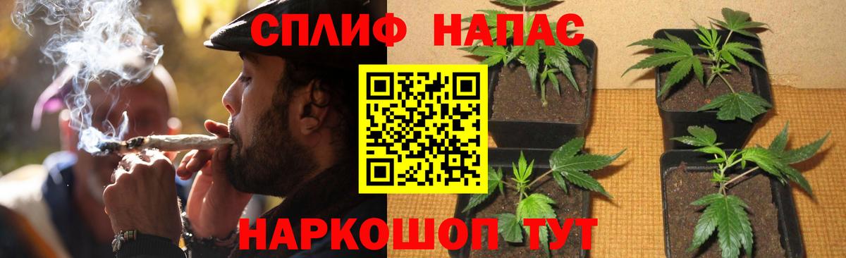 Марихуана Ganja  Бошки Шишки White Widow  Луга 